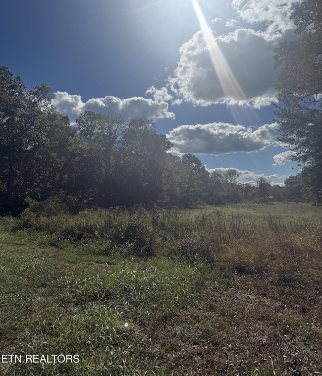 846 Porterfield Gap Rd, Seymour, TN 37865 - photo 2