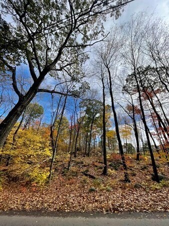 580 Ridge Rd, Wilbraham, MA 01095 - photo 2