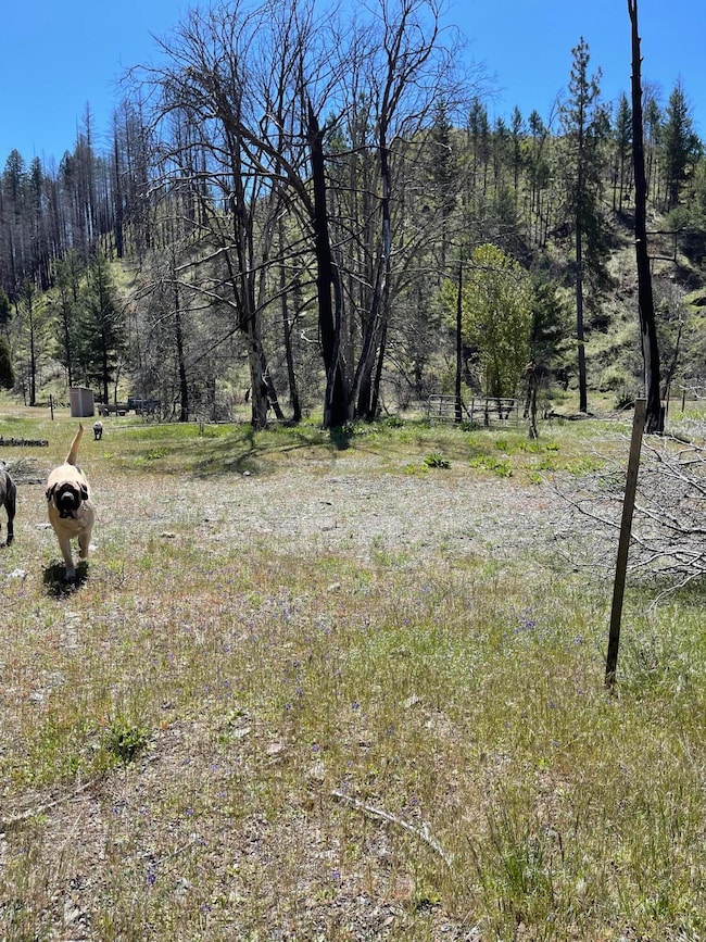 300 Cedar Gap Rd, Ruth Lake, CA 95526 - photo 5