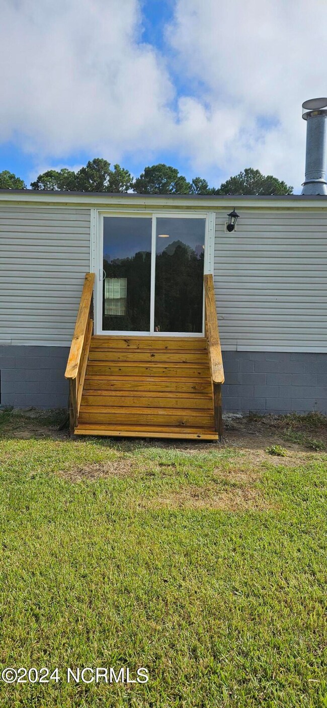Back steps