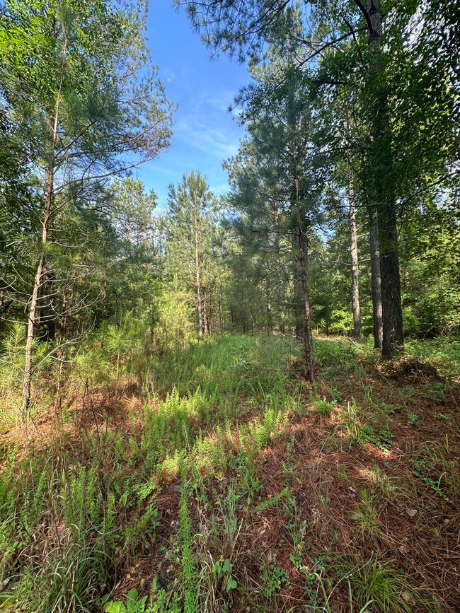 1108 Sunset Cove, Tignall, GA 30668 - photo 6