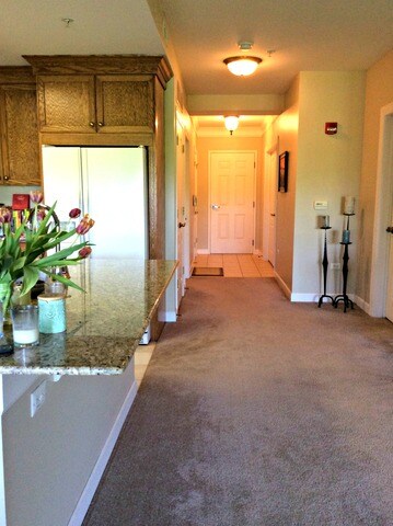 218 N Water St unit 302, Batavia, IL 60510 - photo 7