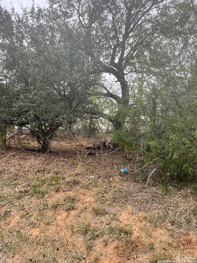 899 Farm To Market 1346, La Vernia, TX 78121 - photo 6