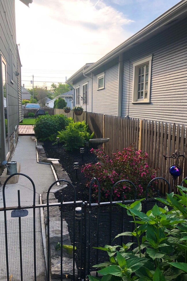 South walk/landscape