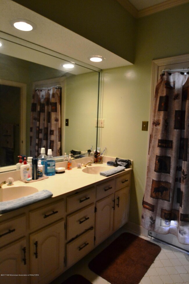 Master bathroom 1