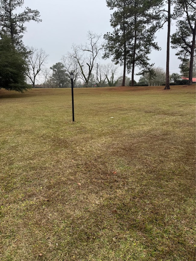 0 McQuaig St NW, Cairo, GA 39828 - photo 2