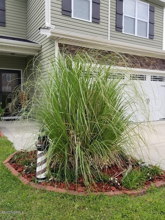 251landscaping