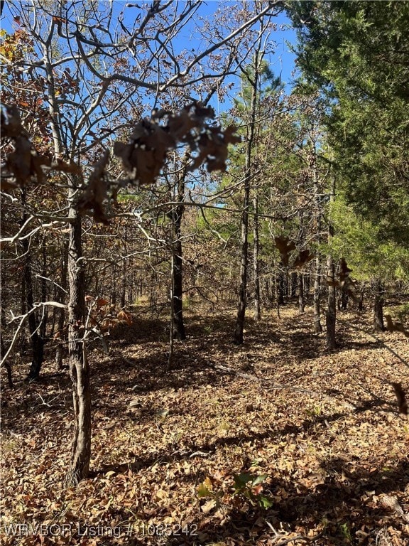 TBD S Booth Ave, Wister, OK 74966 - photo 6