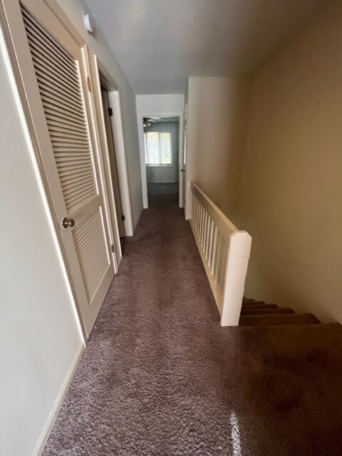 200 Woody Rd, Pendleton, SC 29670 - photo 6