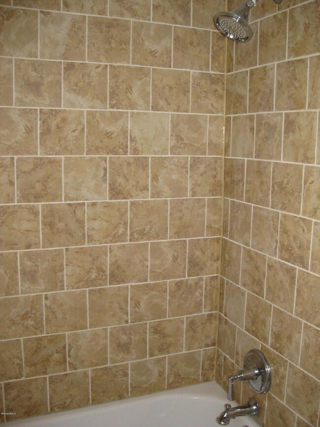 Guest Shower