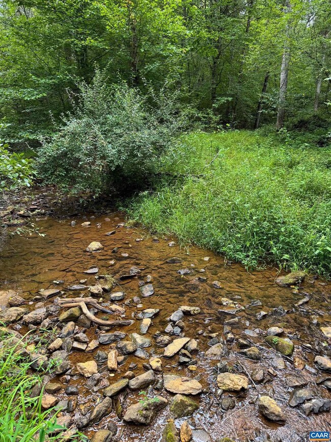 TBA Old Green Mountain Rd unit 500, Esmont, VA 22937 - photo 7