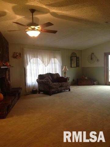 1210 Feldman Dr, Lincoln, IL 62656 - photo 3