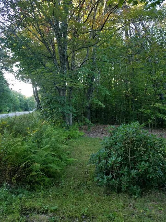 620 1st Crown Point Rd, Strafford, NH 03884 - photo 4