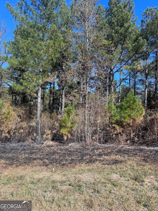 131 W Drummond Rd, West Point, GA 31833 - photo 2