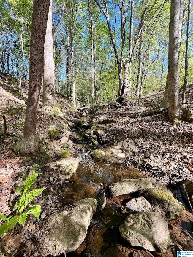 0 Landfill Rd unit 21438392, Ashland, AL 36251 - photo 6