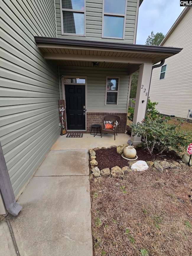 228 Bickley View Ct, Chapin, SC 29036 - photo 2