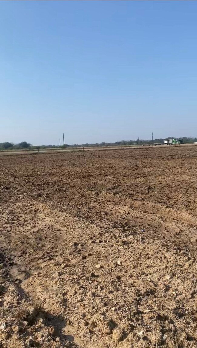 Cleared Land