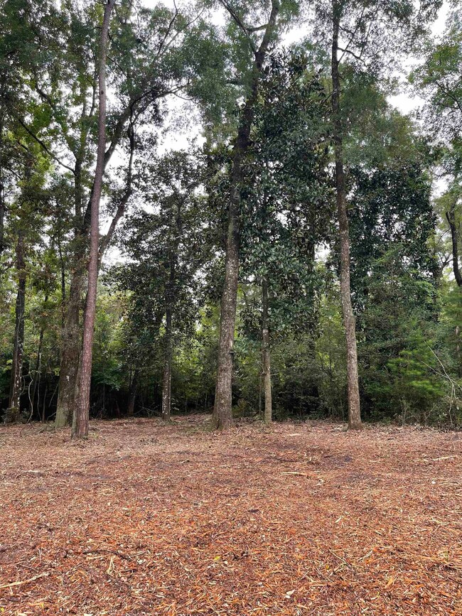 0 Palomino Rd, Crawfordville, FL 32327 - photo 4