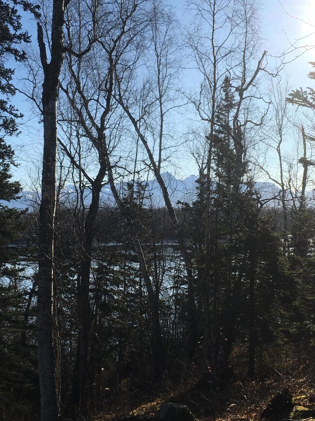 Chugach Mountain Range