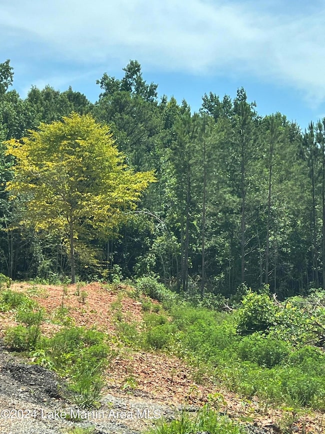 0 Manoy Dr, Jacksons' Gap, AL 36861 - photo 4