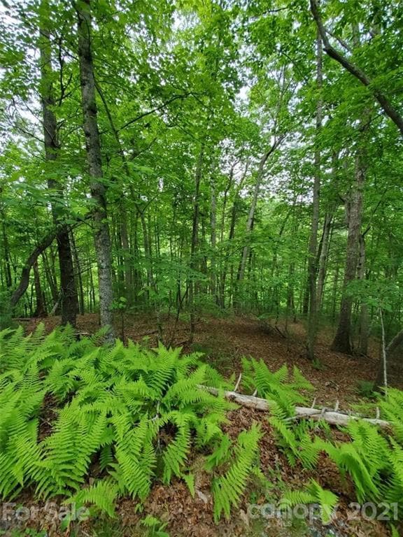 141 River Club Trail unit 8, Marshall, NC 28753 - photo 2