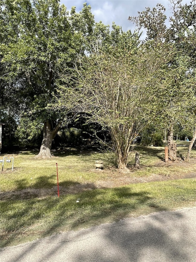 0000 Caribe Ln, Houston, TX 77047 - photo 4