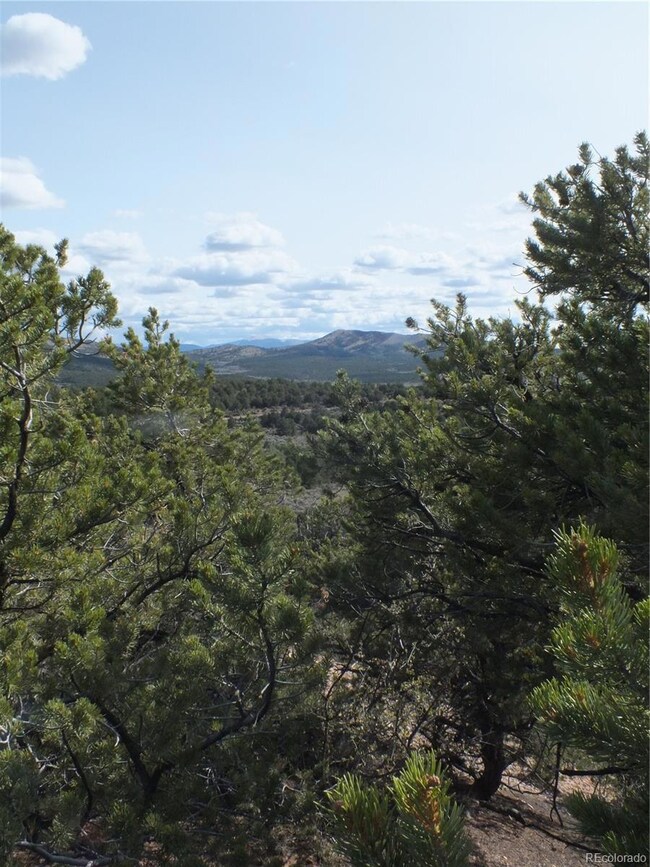 0 Santana Rd, Blanca, CO 81133 - photo 3