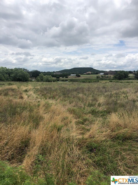 1266 Lutheran Church Rd, Copperas Cove, TX 76522 - photo 4