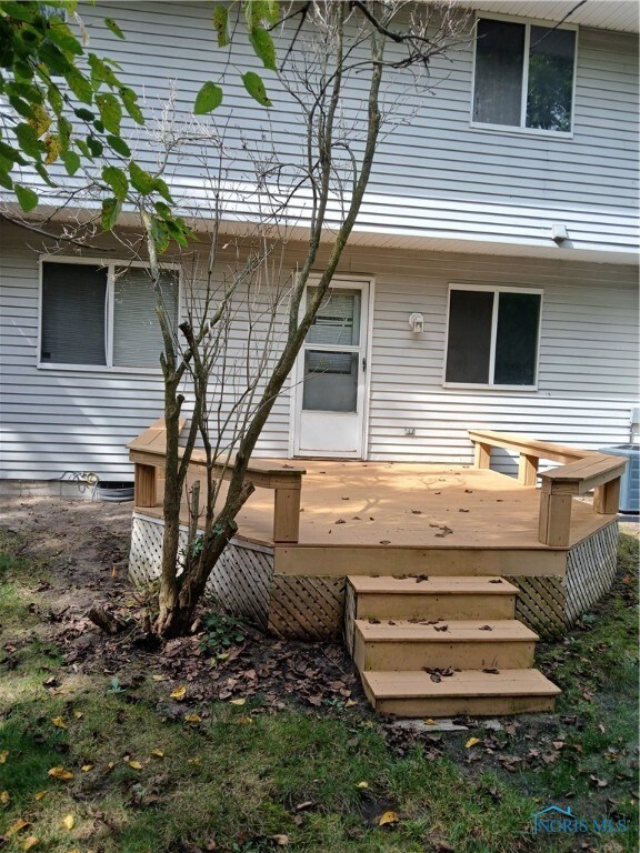 Back yard