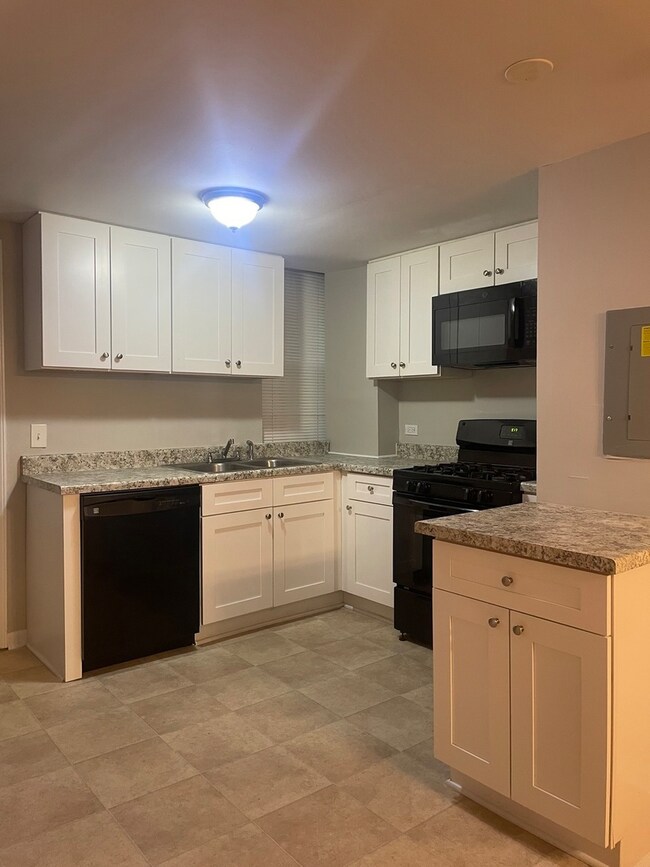 4531 S Drexel Blvd unit 2, Chicago, IL 60653 - photo 7