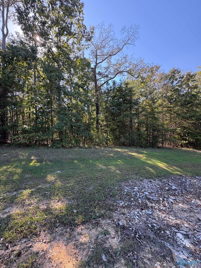 LOT 232 Stoney Point Rd, Double Springs, AL 35553 - photo 7