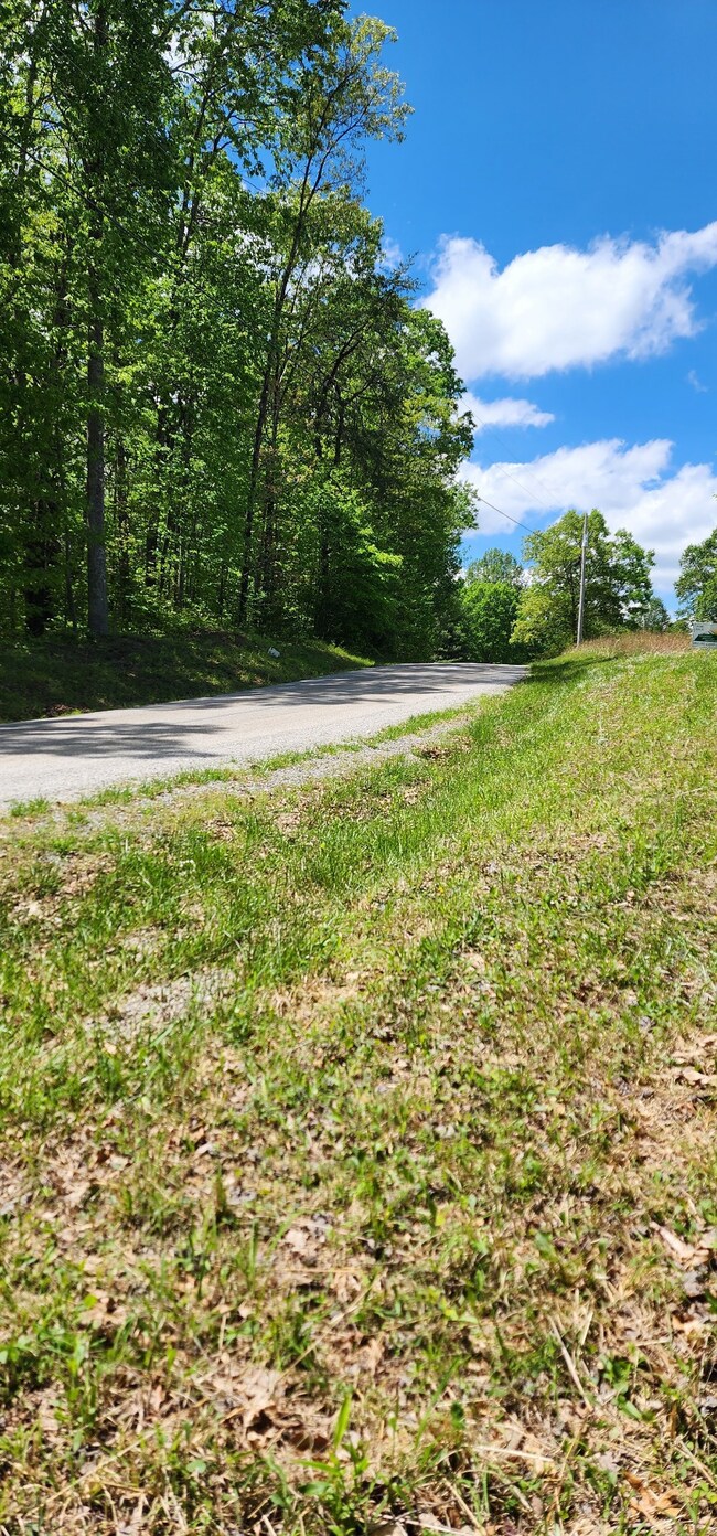 0 Tootley Campbell Rd, Monteagle, TN 37356 - photo 5