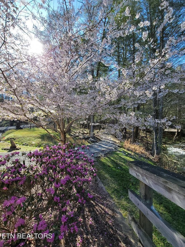 0 Tall Tree Tr unit 1269631, Dunlap, TN 37327 - photo 5