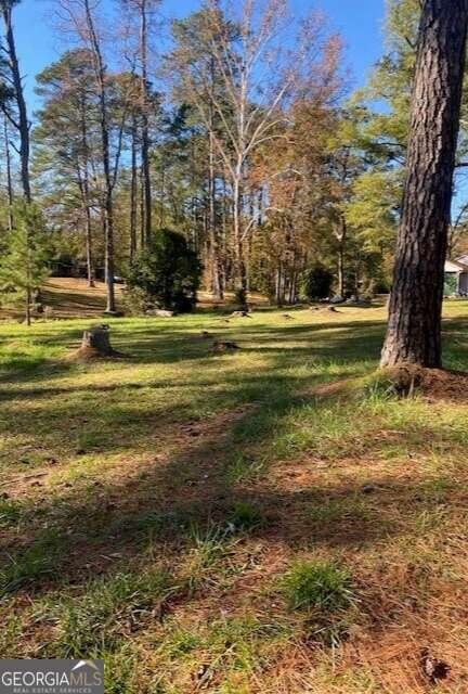 0 Woodland Ct unit 10543600, Union Point, GA 30669 - photo 3