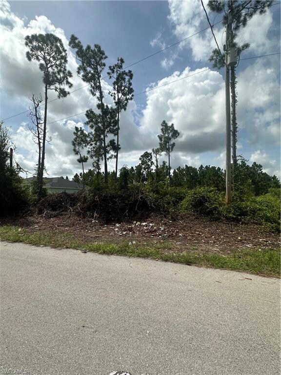 1054 Coleridge St, Lehigh Acres, FL 33974 - photo 2