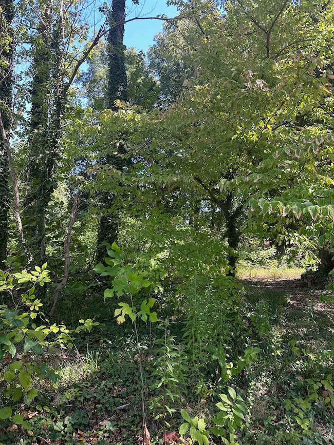View of nature