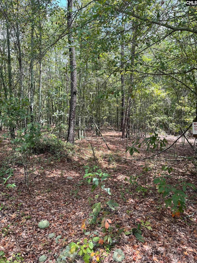 BHL 3 Boise Cascade Rd unit BHL 3, Bethune, SC 29009 - photo 2