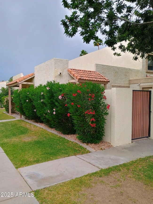 Scottsdale Condo Front