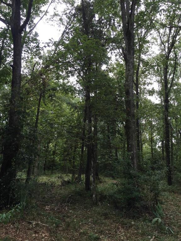 32307, 32267 & 32227 Lower Rome Rd, Springfield, LA 70462 - photo 5