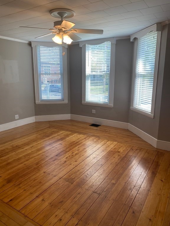 23 Ash St unit 1, Auburndale, MA 02466 - photo 3