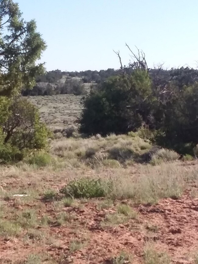 view of lot 1