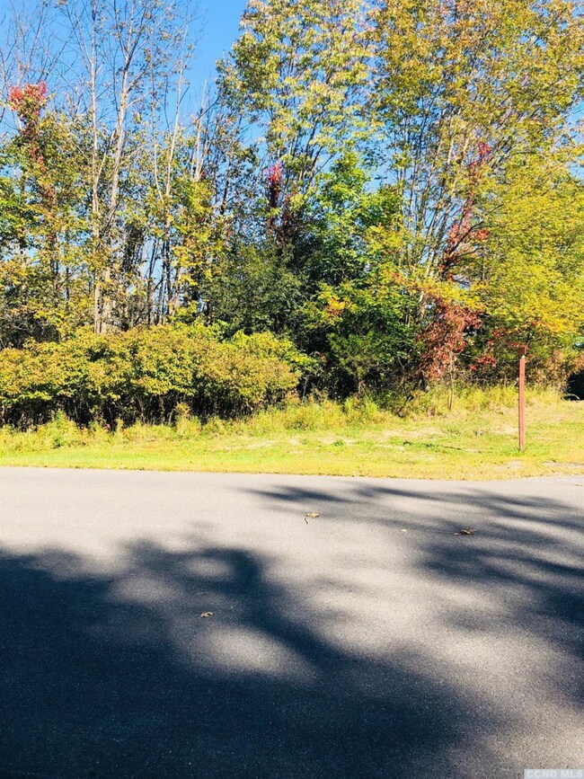 52 - A Sleepy Hollow Rd, Coxsackie, NY 12051 - photo 6