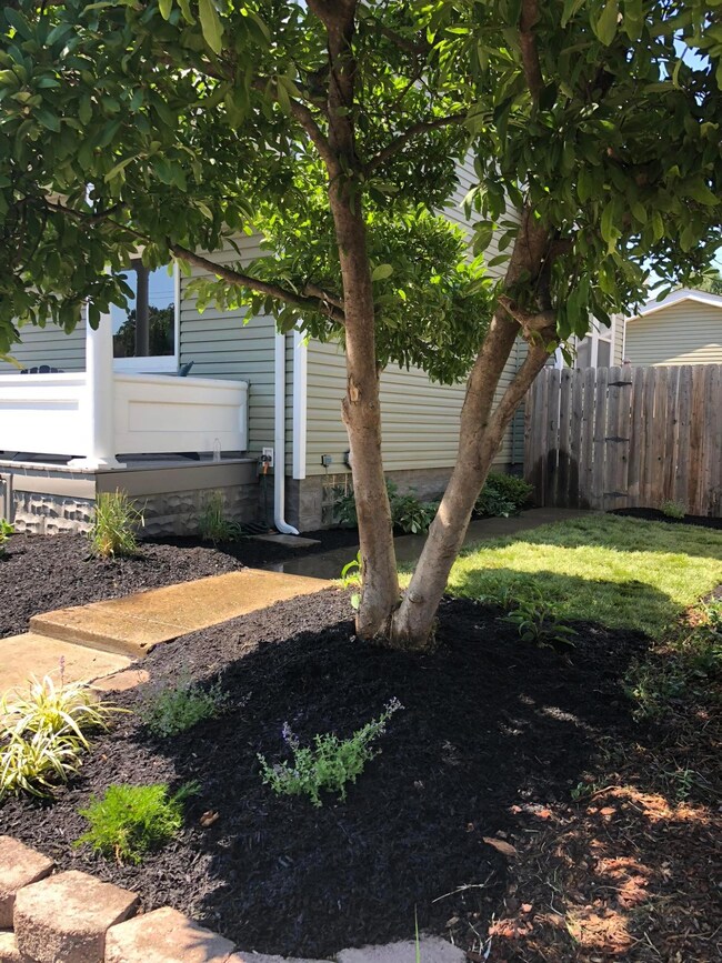 Front Yard