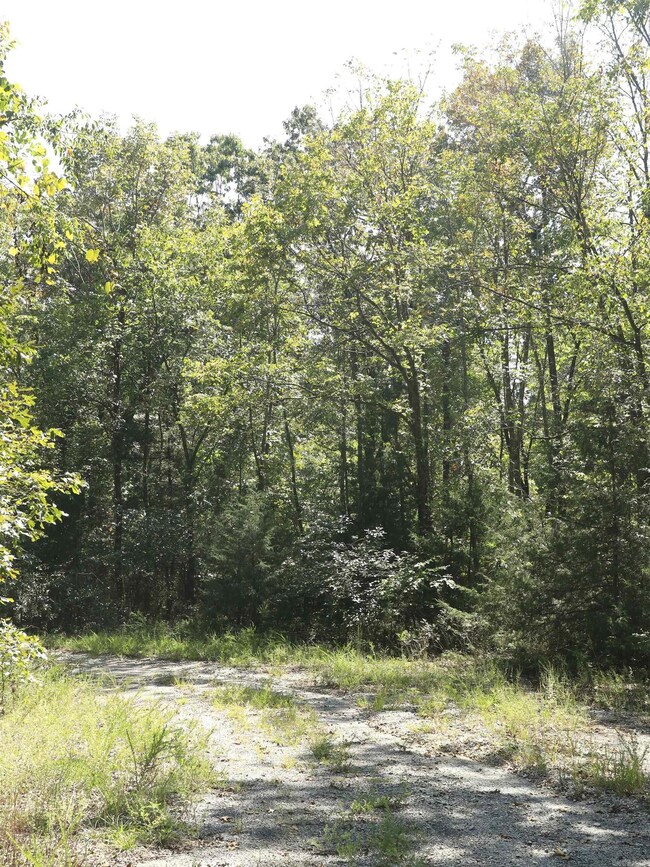 210 Bo Peep Cir, Horseshoe Bend, AR 72512 - photo 7