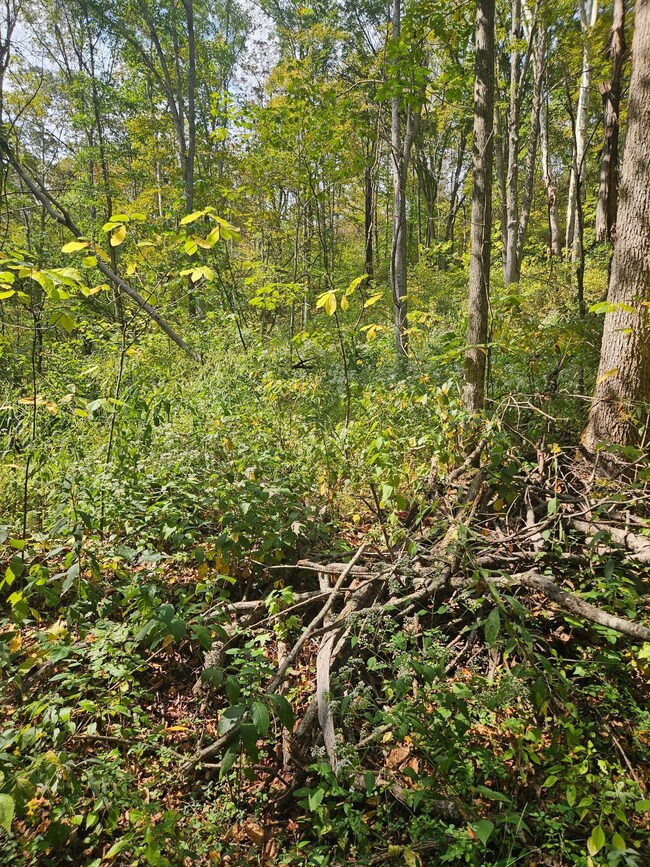 28661 Williams Farm Rd, Lower Salem, OH 45745 - photo 7