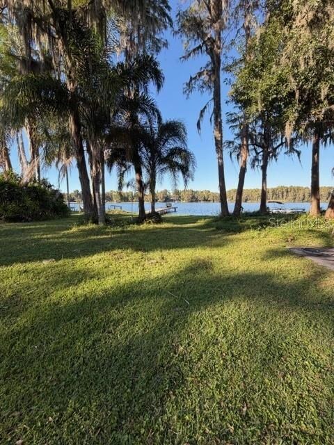 5211 Wilcox Rd, Tampa, FL 33624 - photo 4