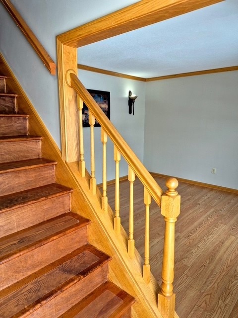 3543 Dominic Dr, Erie, PA 16506 - photo 5