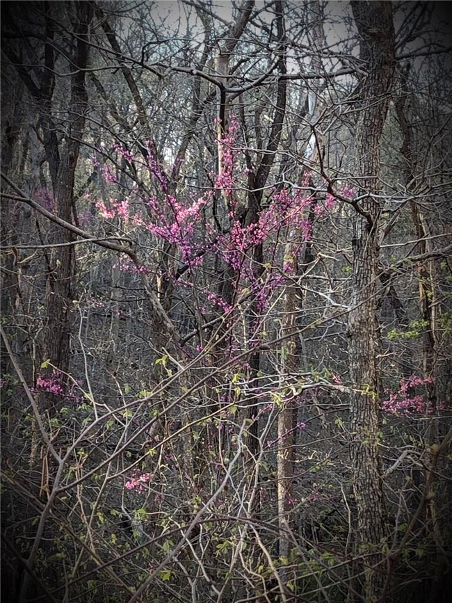 0 Cr 558 unit 1137841, Colcord, OK 74338 - photo 6