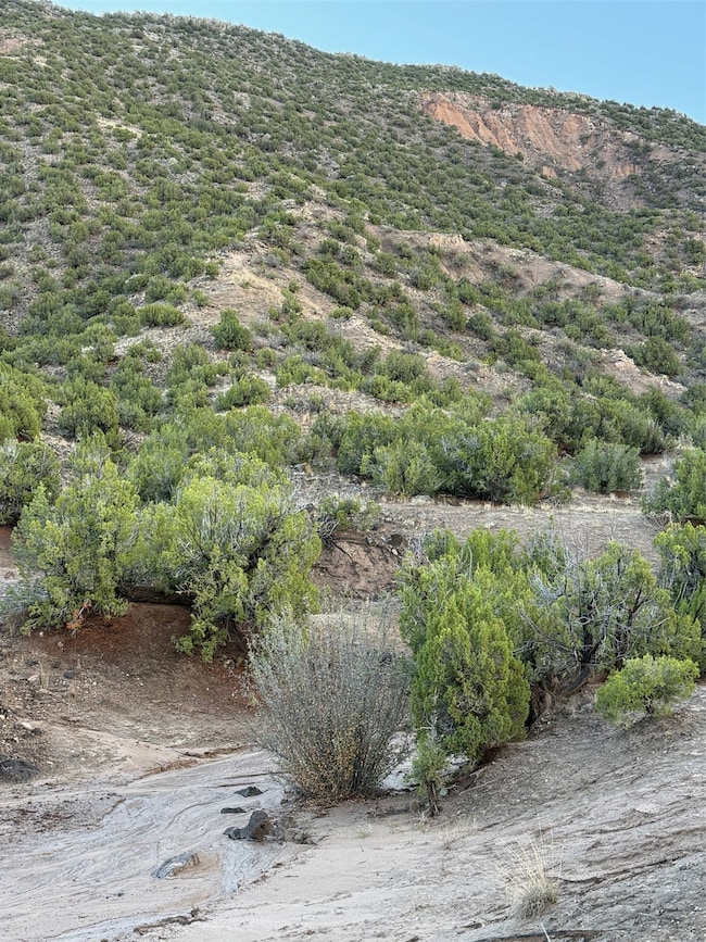 TBD LOT 3 Juniper Rd, Ojo Caliente, NM 87549 - photo 5