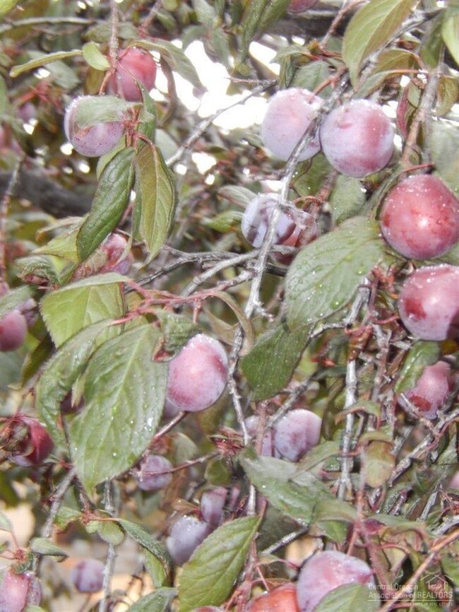 3455 SW Salmon Ave, Redmond, OR 97756 - photo 2